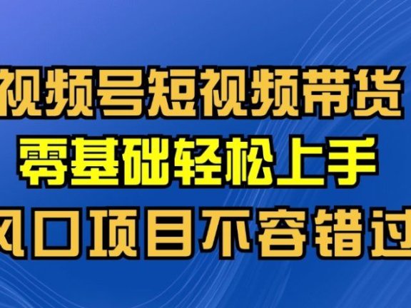 视频号短视频带货，0基础轻松上手，风口项目不容错过