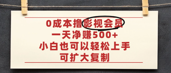 亲测,0成本可批量操作,靠卖影视会员实测月入30000+